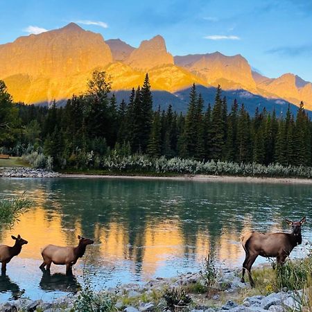 Unit #201 Cozy Mountain View 1Br In Dt Apartment Canmore Exterior foto